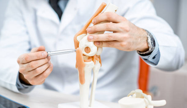 Orthopaedic